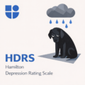 Illustration of a sad black dog with downcast eyes sitting alone under a dark gray rain cloud with blue raindrops falling, casting a shadow on the ground, with the Testable logo and text "HDRS Hamilton Depression Rating Scale"