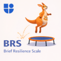 Illustration of a joyful kangaroo with a baby joey in its pouch bouncing high on a blue and orange trampoline, accompanied by a blue logo and the text "BRS Brief Resilience Scale"